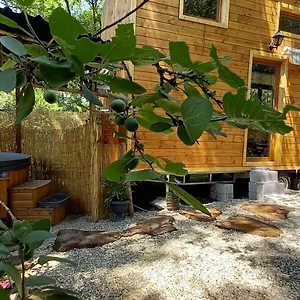 Mini Maison Tiny House Et Son Bain Nordique Figeac